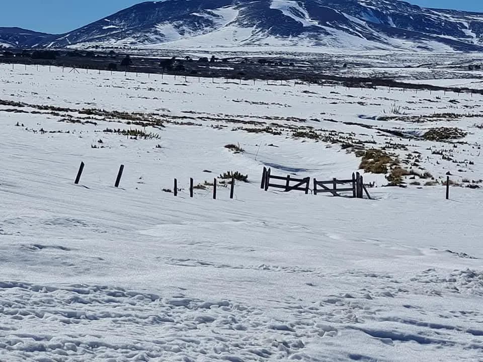 Ruta 181 1, Lonquimay, 4690000, Chile