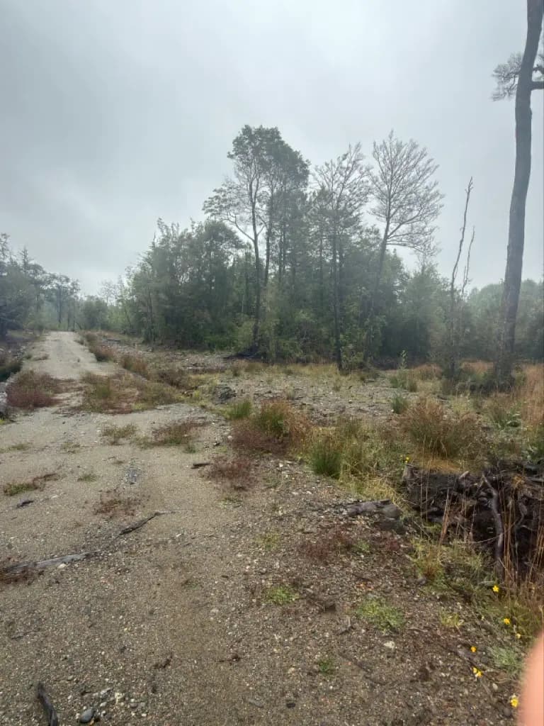 Ruta W-121, Ancud, Región de Los Lagos 5710000, Chile
