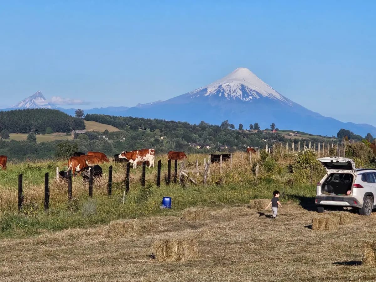 Camino Quebrada Honda, Frutillar, Región de Los Lagos 5620000, Chile