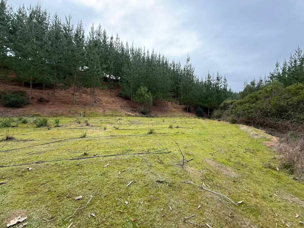 I-542, Paredones, 3270000, Chile