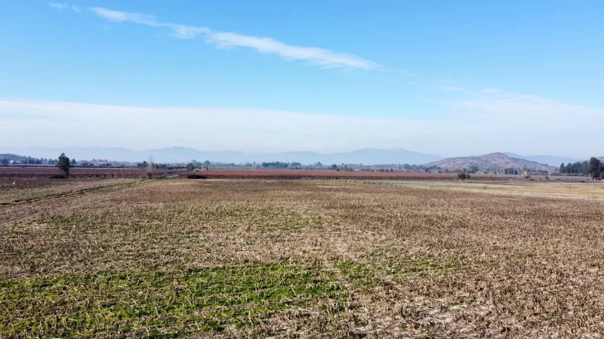 Peralillo, 3170000, Chile