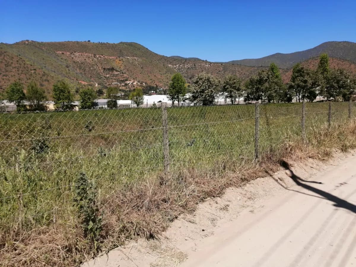 Lo Águila, Curacaví, Región Metropolitana de Santiago 9630000, Chile