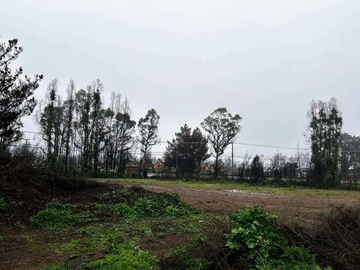 Uno 38, Tomé, Región del Biobío 4160000, Chile