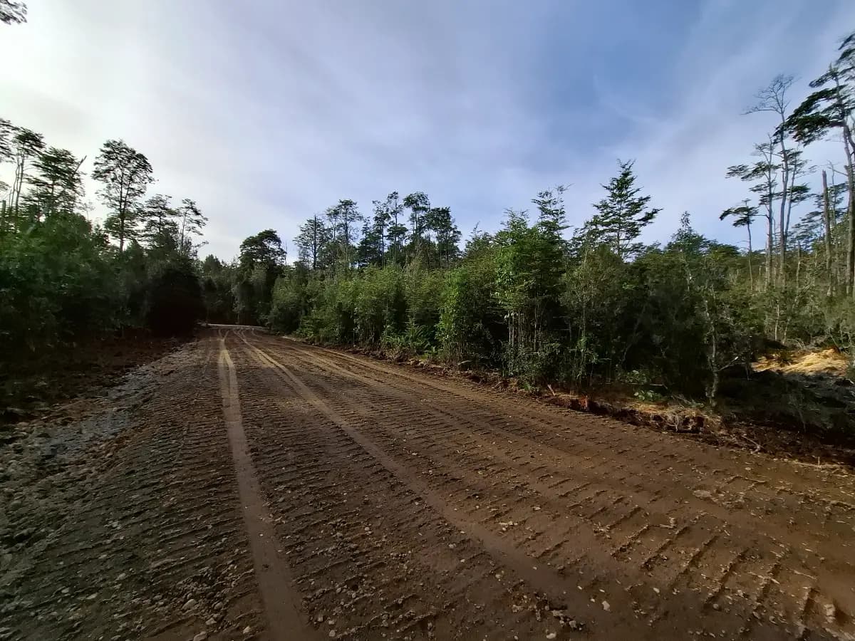 Las Quemas, Puerto Montt, Región de Los Lagos, Chile