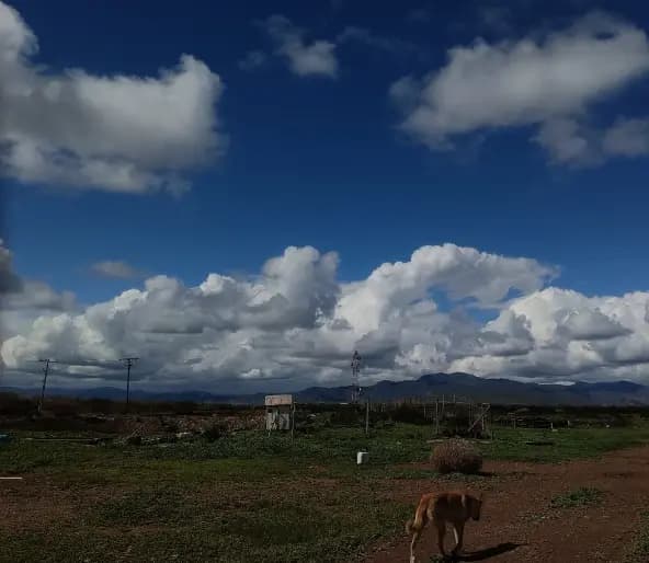 Ovalle, Región de Coquimbo, Chile