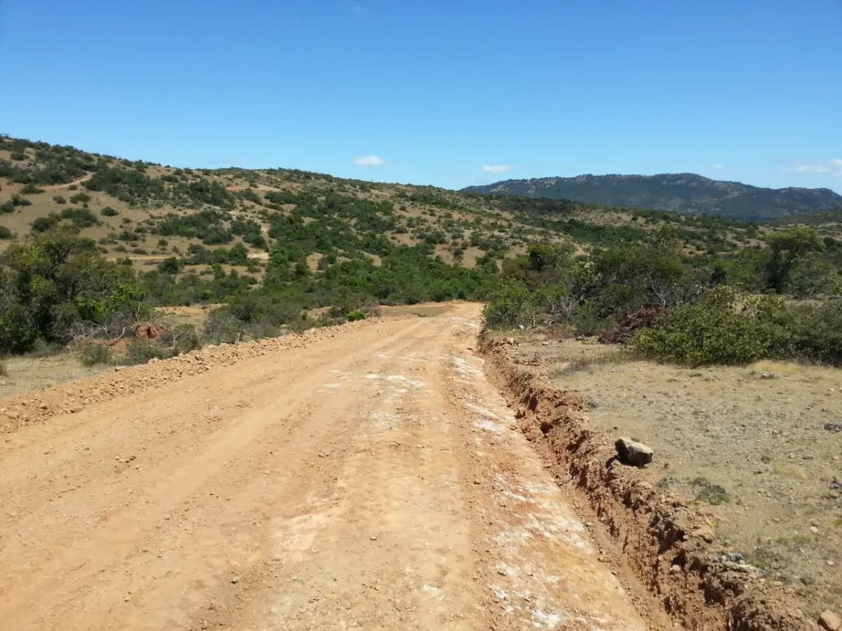 Santa Cruz, Región de O'Higgins, Chile