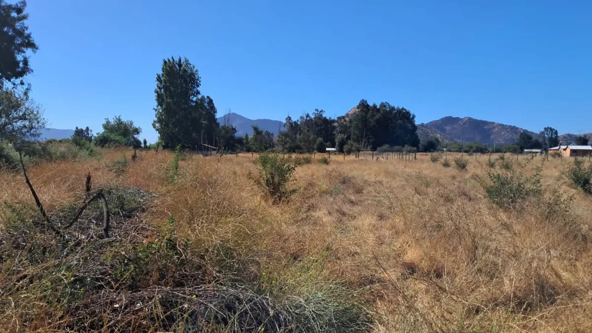Camino Santa Teresa, Mostazal, Región de O'Higgins 2890000, Chile