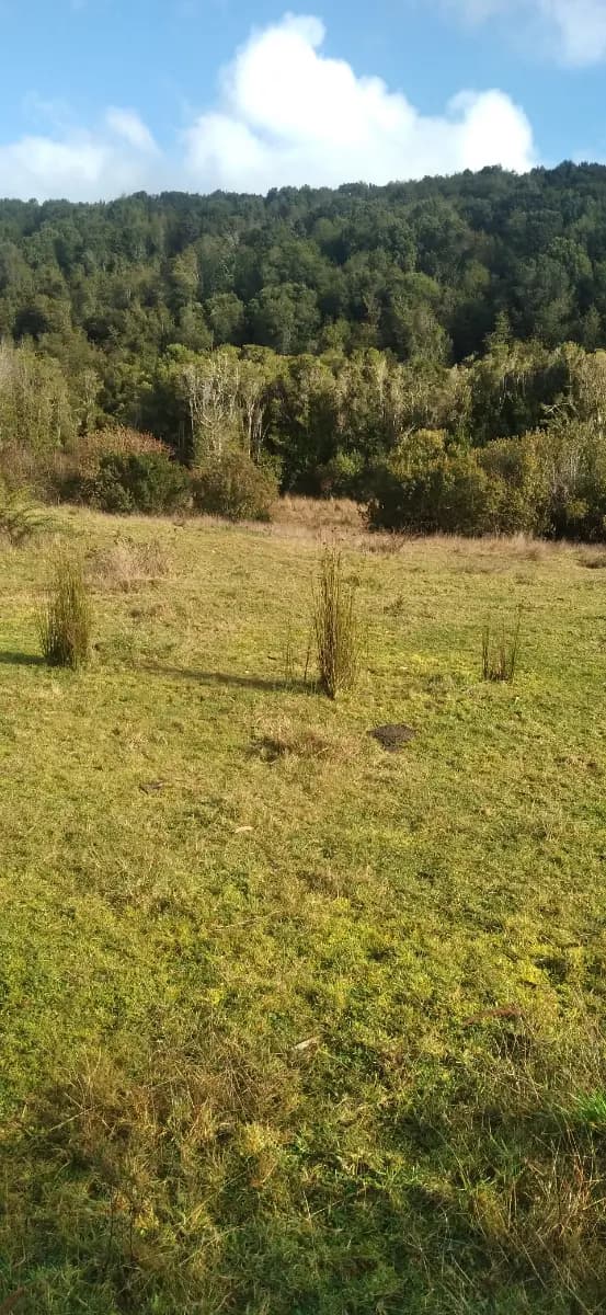 Ruta W-502, Castro, Región de Los Lagos 5700000, Chile