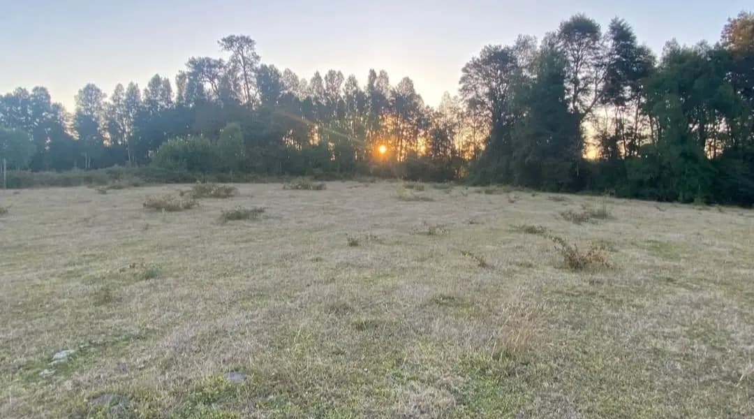 Máfil, Región de Los Ríos, Chile