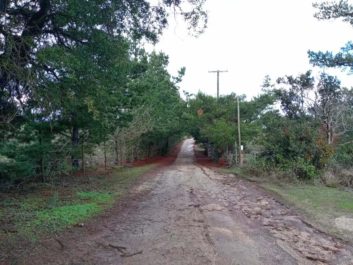 Camino a Las Dichas (F-840) km 2, Algarrobo, 2710000, Chile
