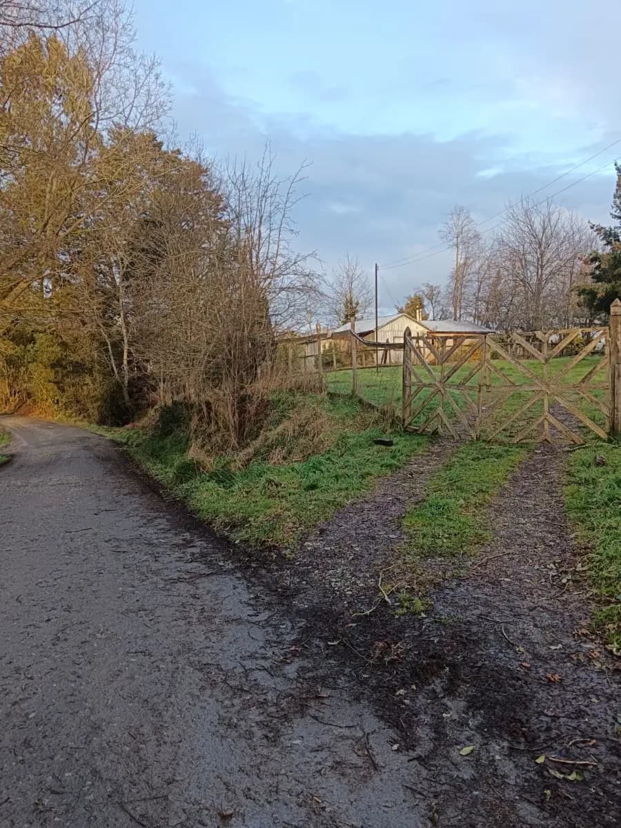 La Huacha, Frutillar, Región de Los Lagos 5620000, Chile