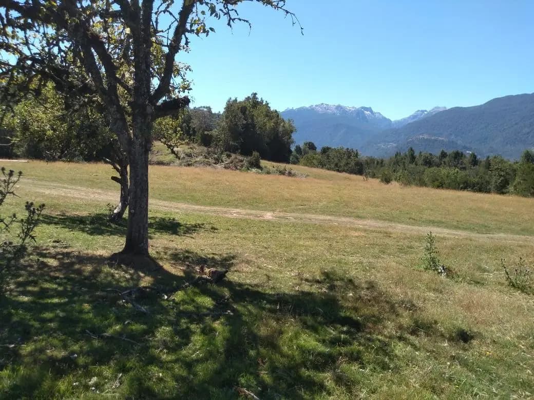 V-699, Cochamó, 5560000, Chile