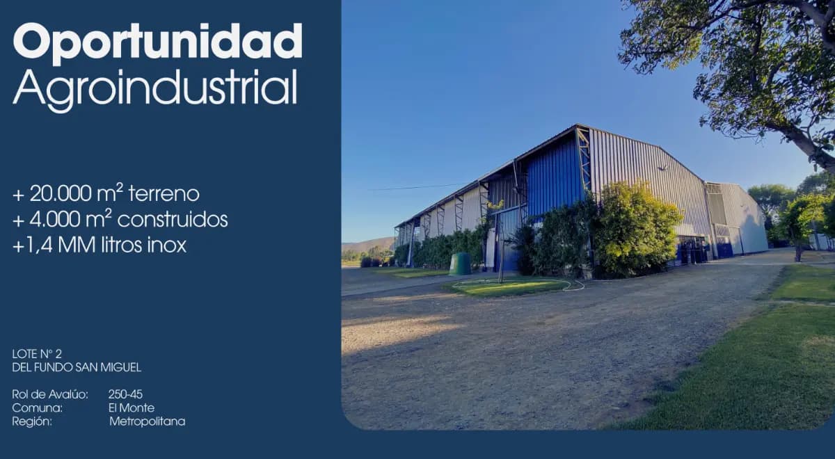 Fundo san miguel, El Monte, 9810000, Chile