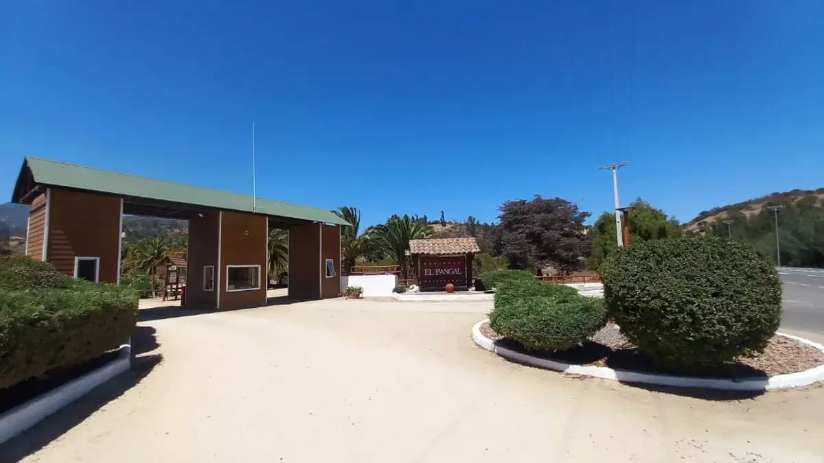 Hacienda el Pangal Parcela 37, Casablanca, 2480000, Chile