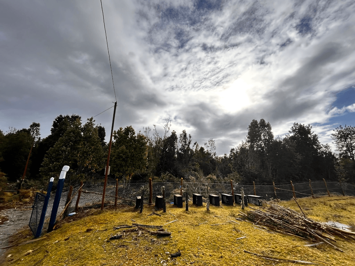 sector Machil, Calbuco, 5570000, Chile