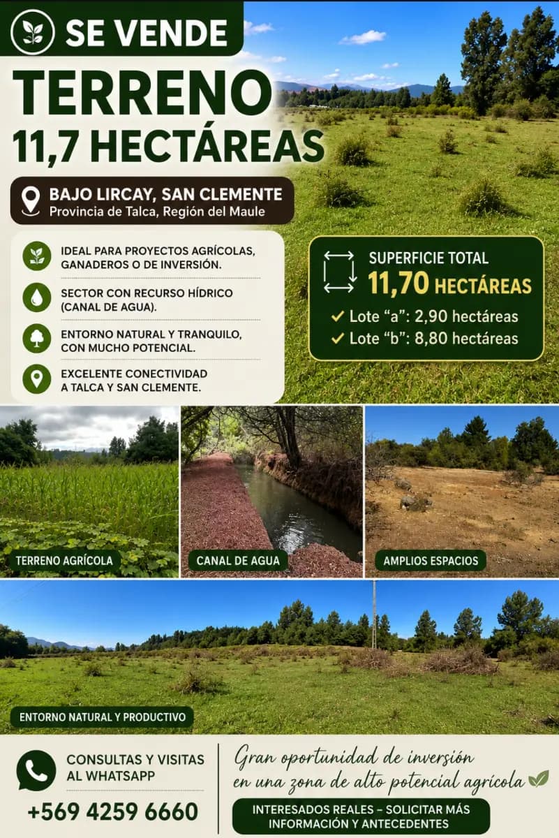 Bajos De Lircay, San Clemente, Región del Maule, Chile