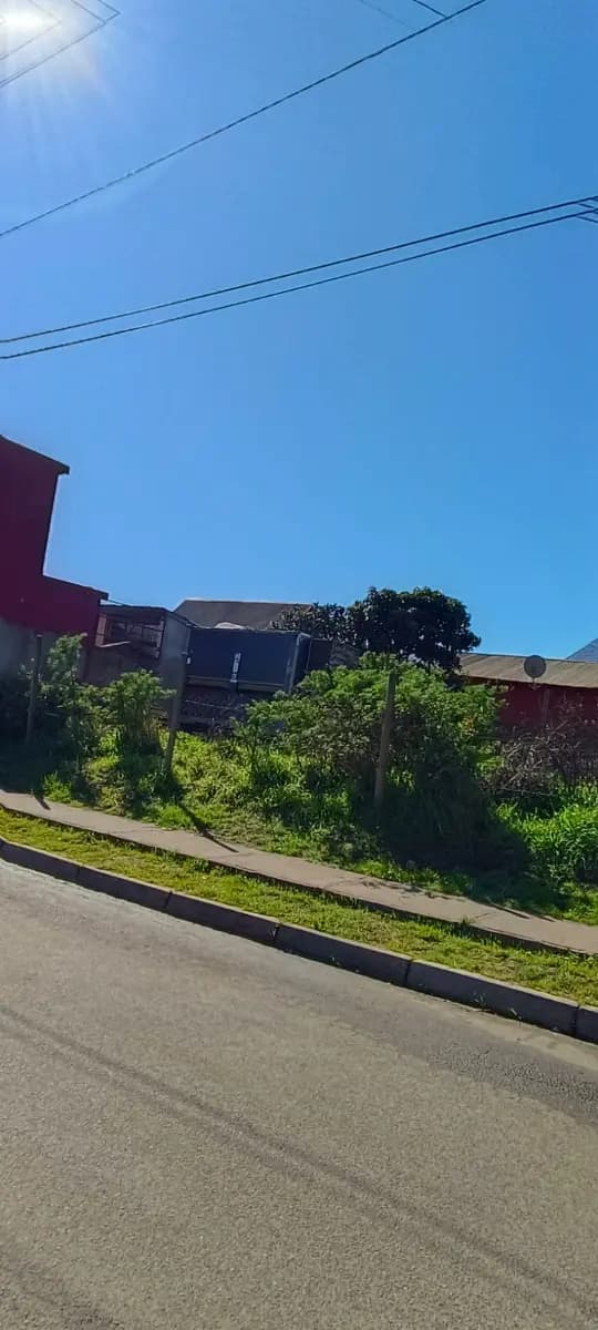 Esperanza 20, Pelluhue, Región del Maule 3710000, Chile