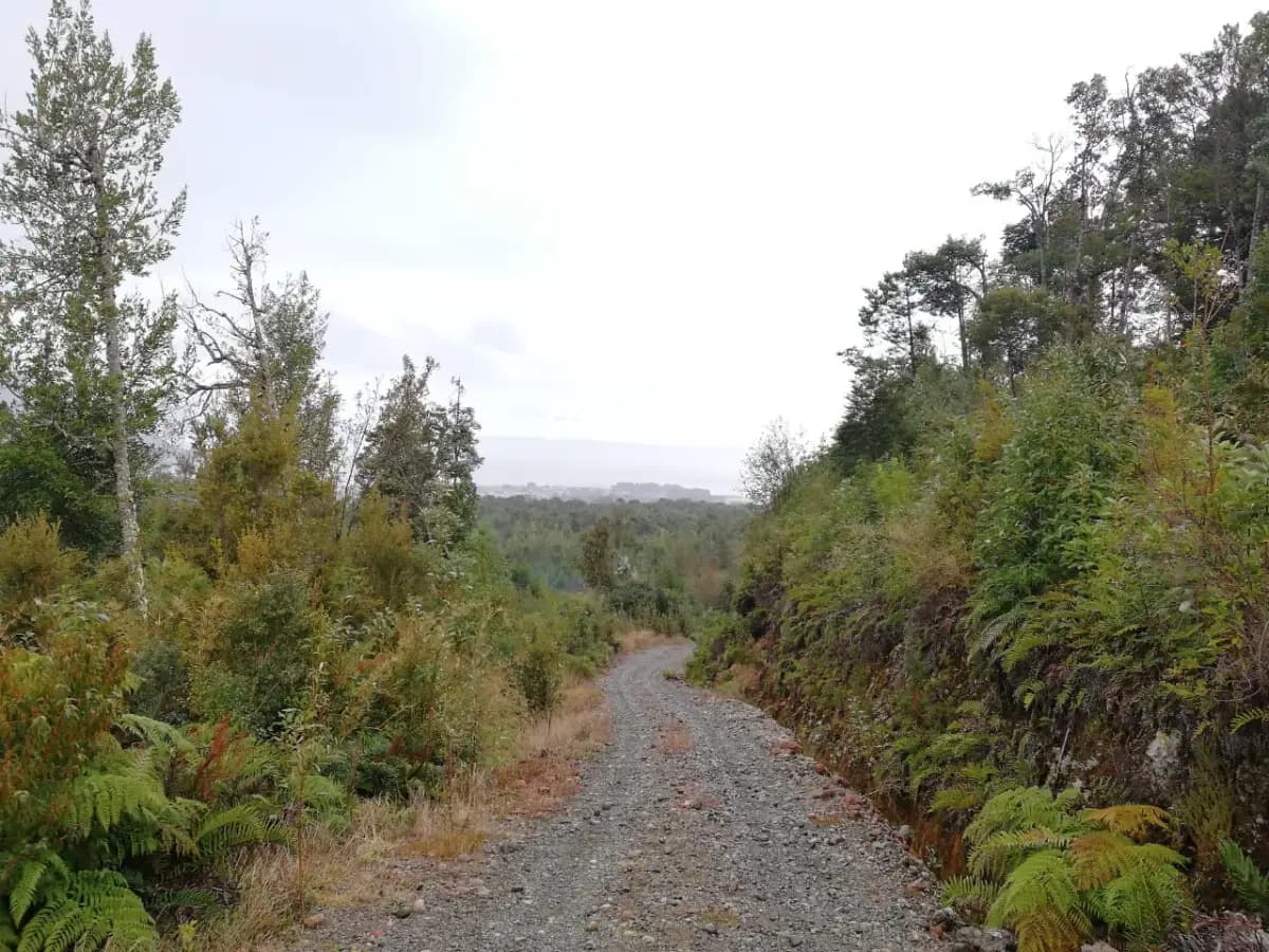 Carretera Austral kilómetro 33, Puerto Montt, 5480000, Chile