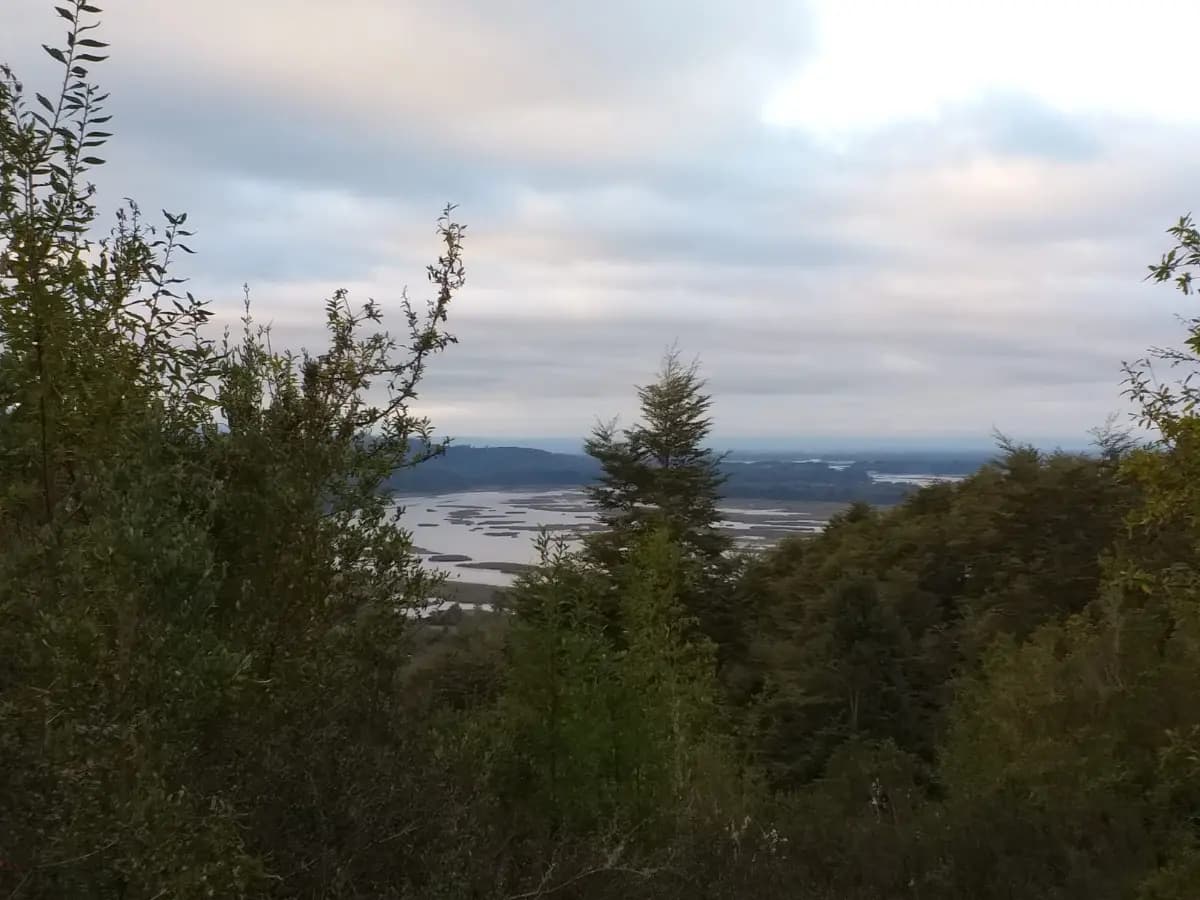 Ruta T-358, Valdivia, Región de Los Ríos 5090000, Chile