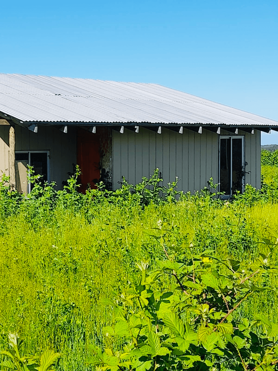 Quilleco, Región del Biobío, Chile