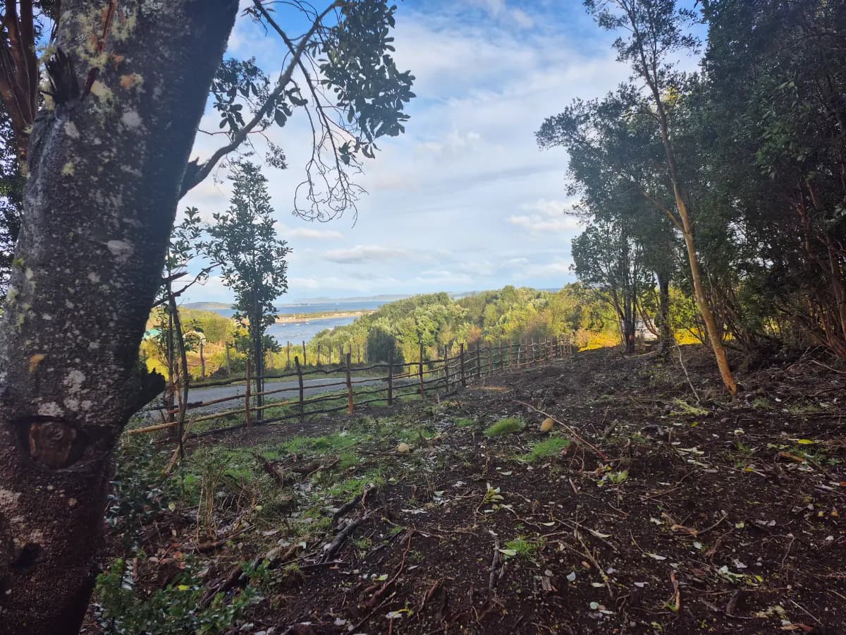 Detico, Queilén, Región de Los Lagos, Chile