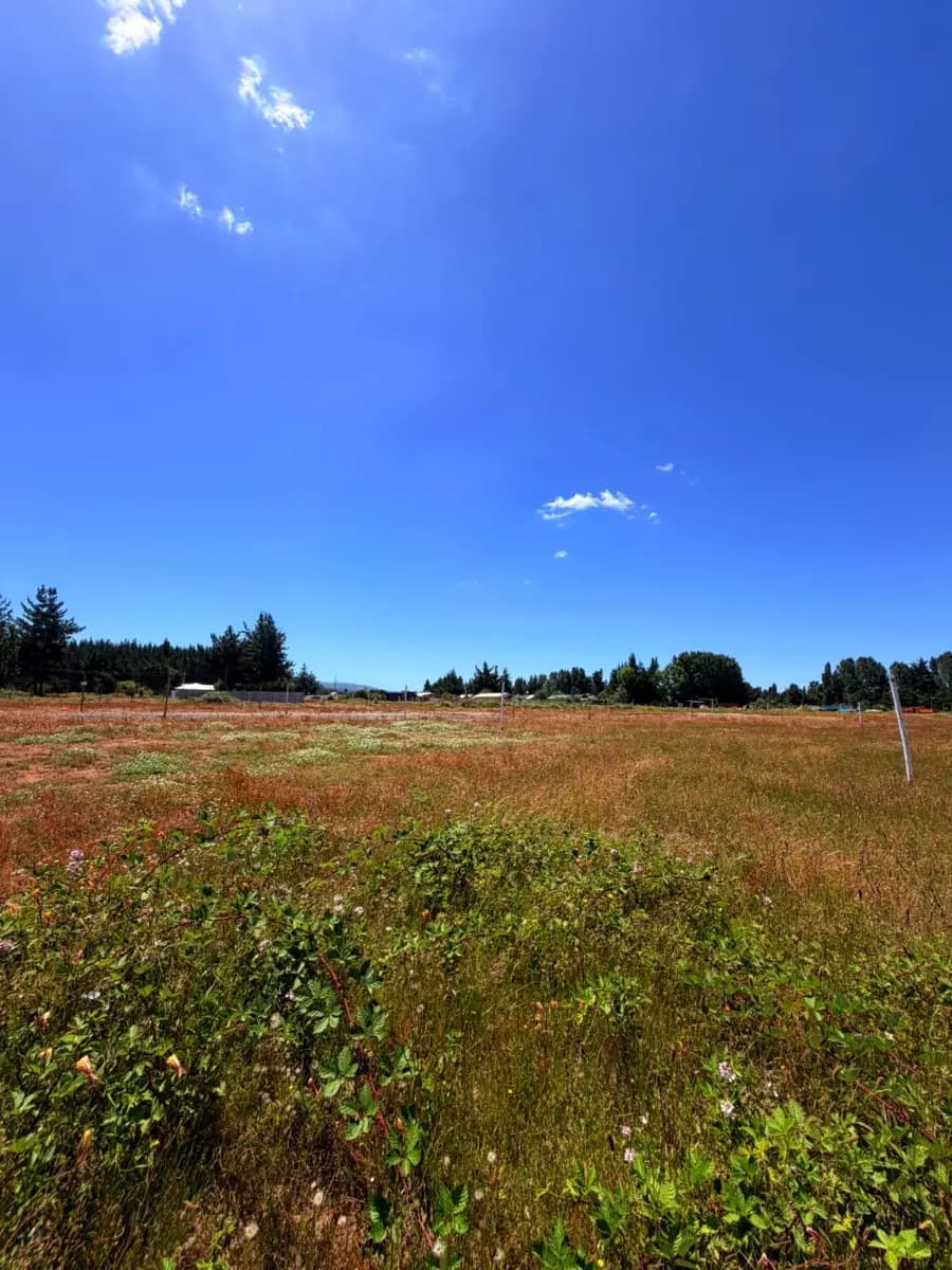 Santa Juana, Región del Biobío, Chile