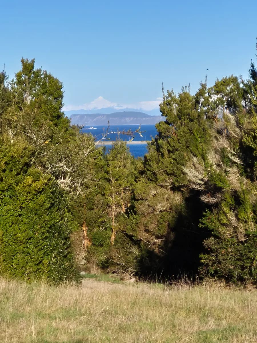 Detico, Queilén, Región de Los Lagos, Chile