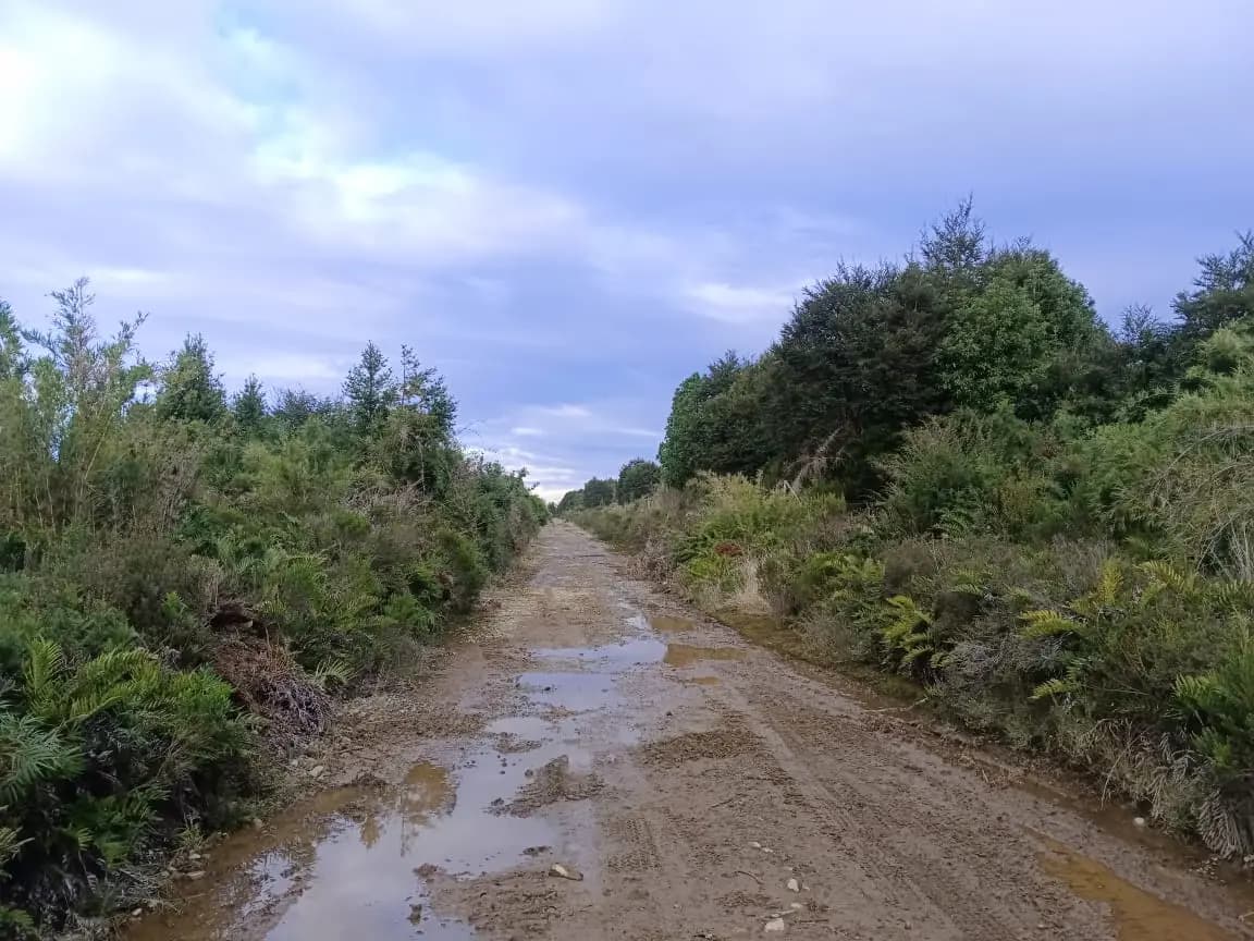 Camino San Antonio KM 6, Puerto Montt, 5480000, Chile