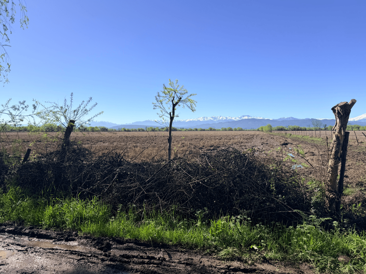 Ruta L-491, Longaví, Región del Maule 3620000, Chile