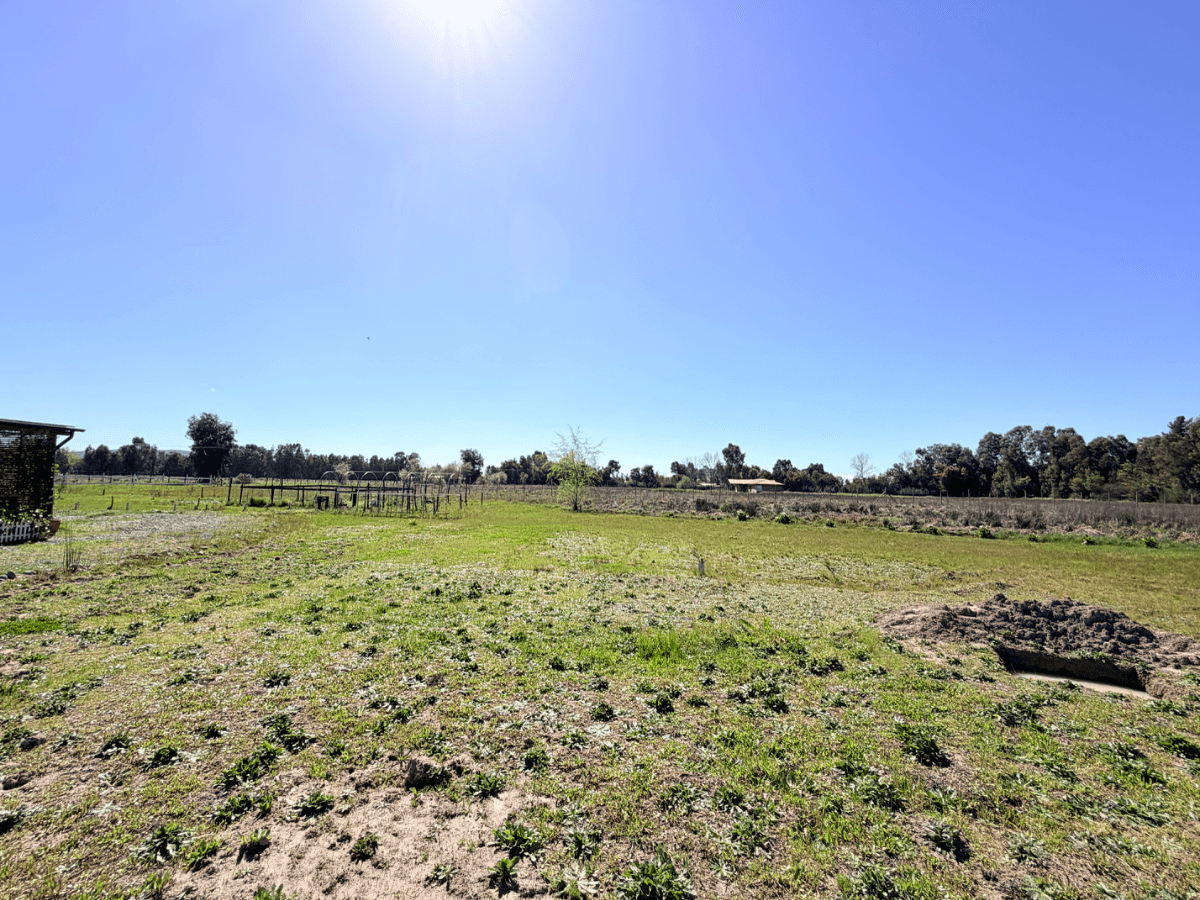 El Emboque, Linares, Región del Maule 3580000, Chile