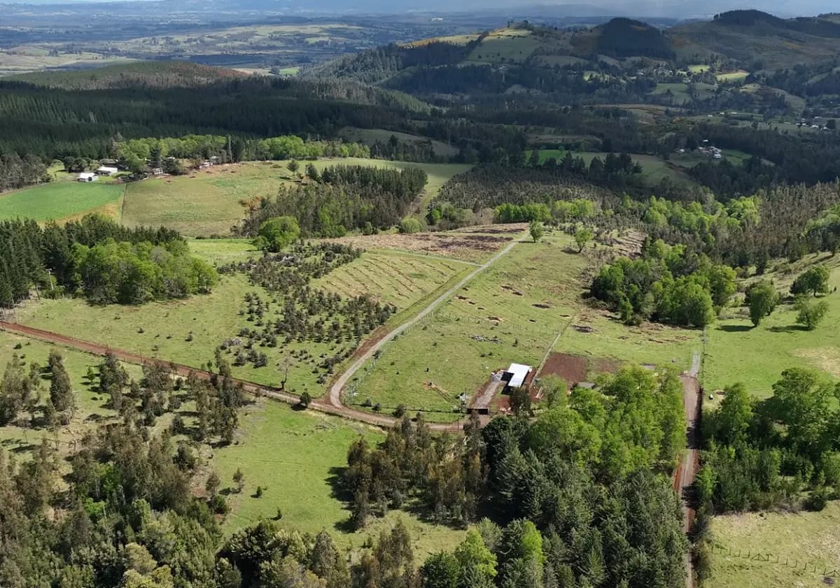 Temuco, 4780000, Chile