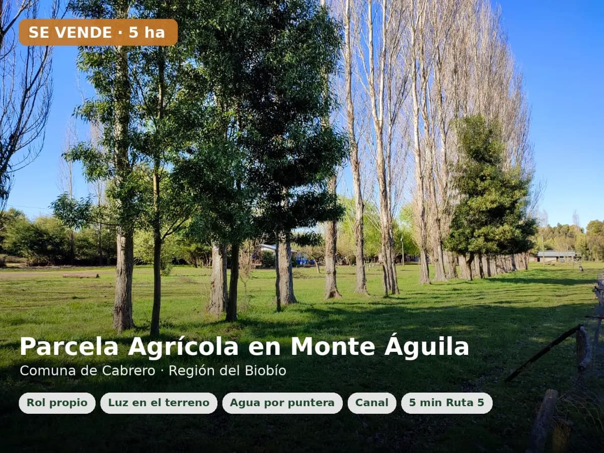 Monte Águila, Cabrero, Región del Biobío, Chile