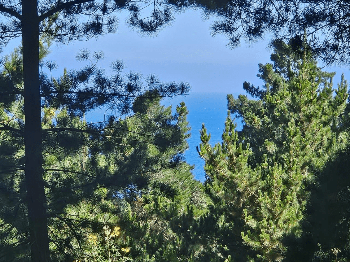 Litueche, 3240000, Chile