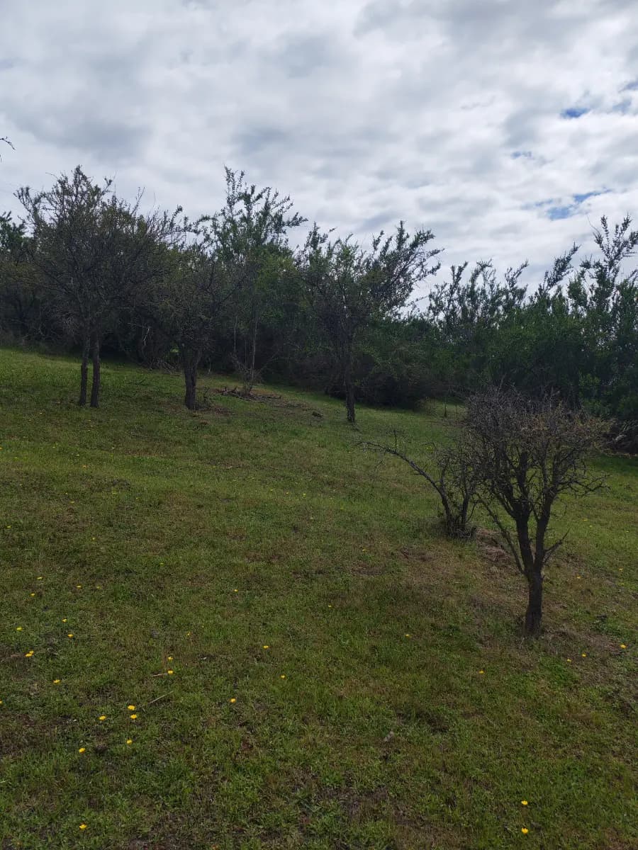 Ruta G-60 km 14, Melipilla, 9580000, Chile