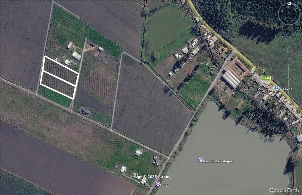 Santa Cruz, Región de O'Higgins, Chile
