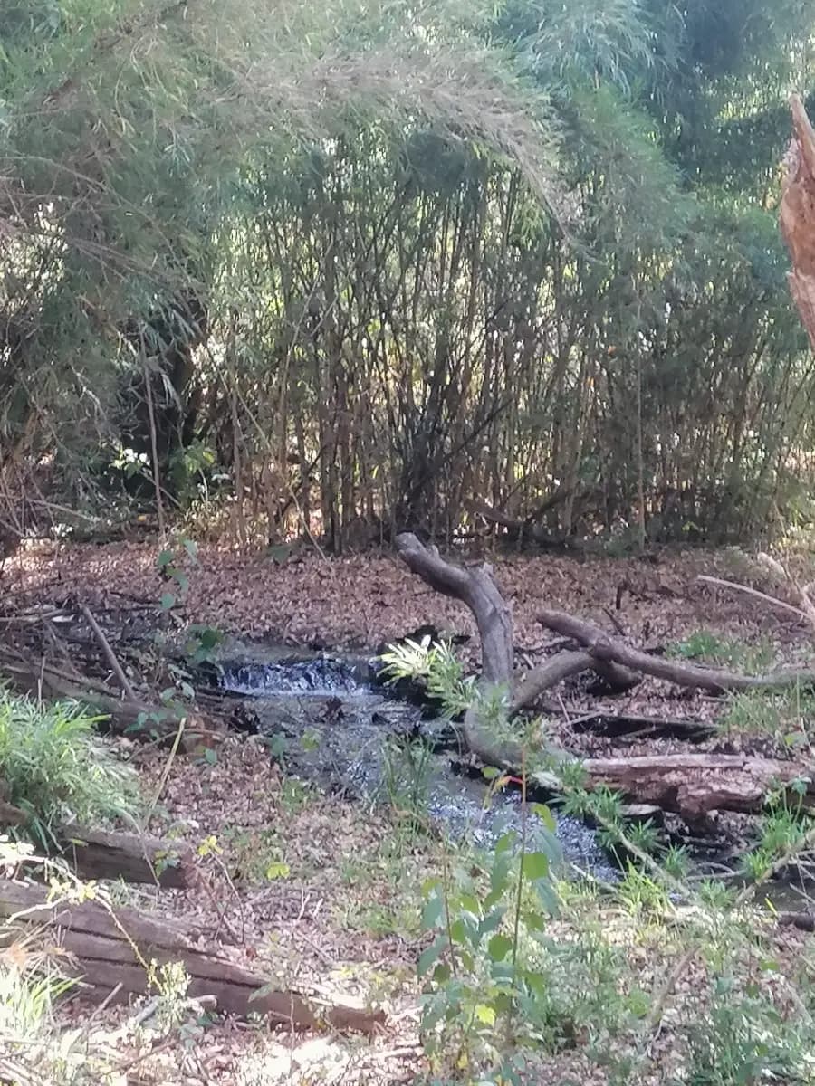 Pucón, Región de La Araucanía, Chile