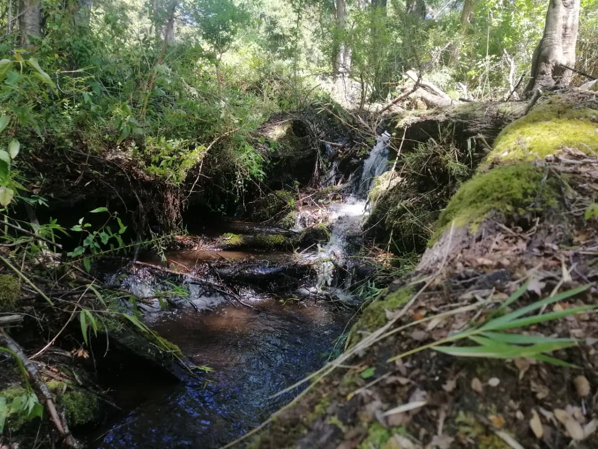 Pucón, Región de La Araucanía, Chile