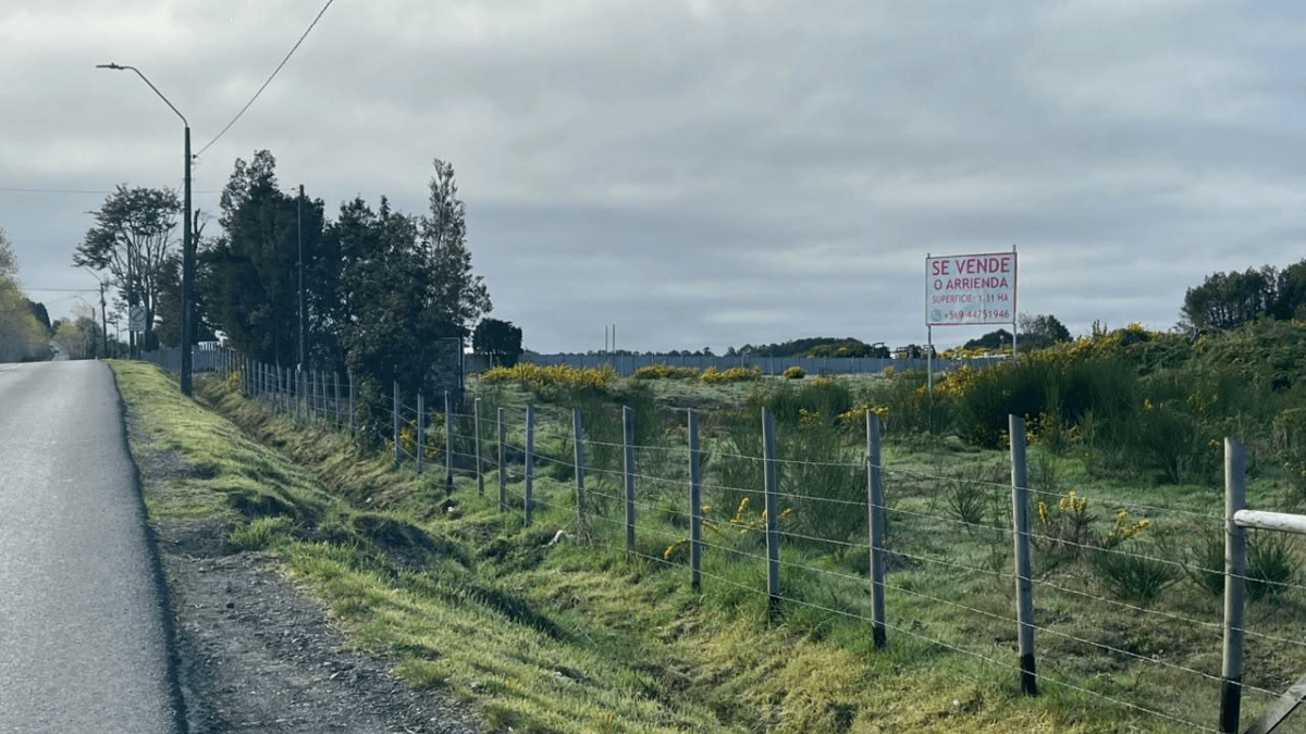 Ruta W-45, Dalcahue, Región de Los Lagos 5730000, Chile
