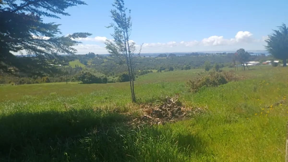 Quenuir, Maullín, Región de Los Lagos, Chile