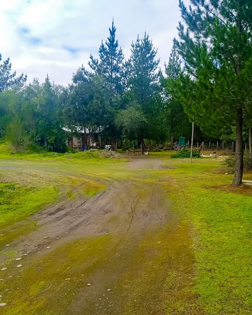 Laja, Región del Biobío, Chile