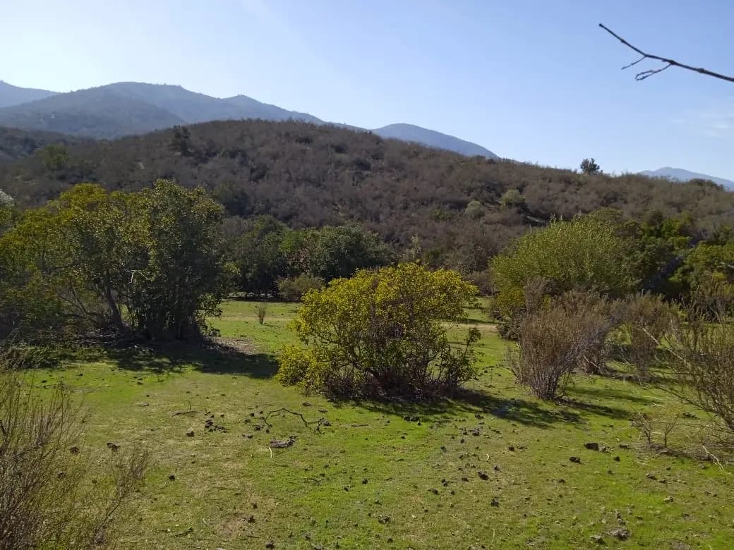 Petorca, Región de Valparaíso, Chile