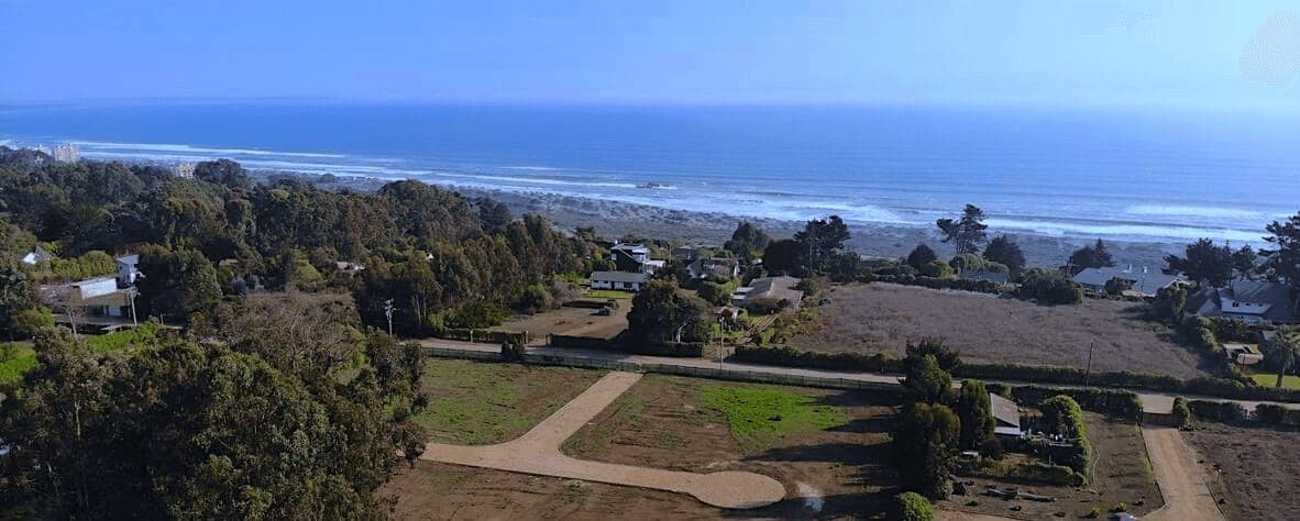 Las Violetas de Santo Domingo