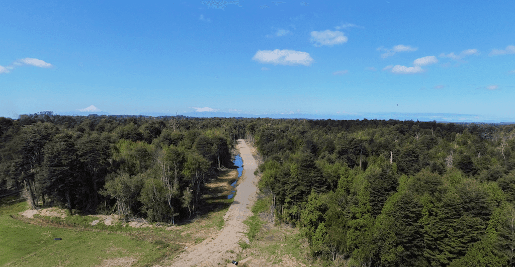 La Foresta del Arrullo