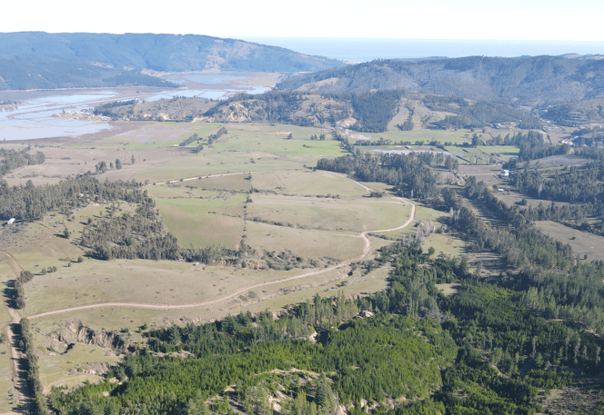 Valle Bucalemu