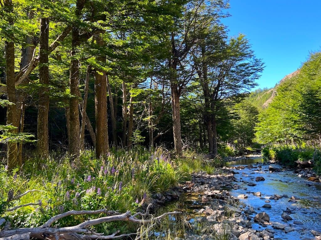 Fundo Gaucho Coyhaique