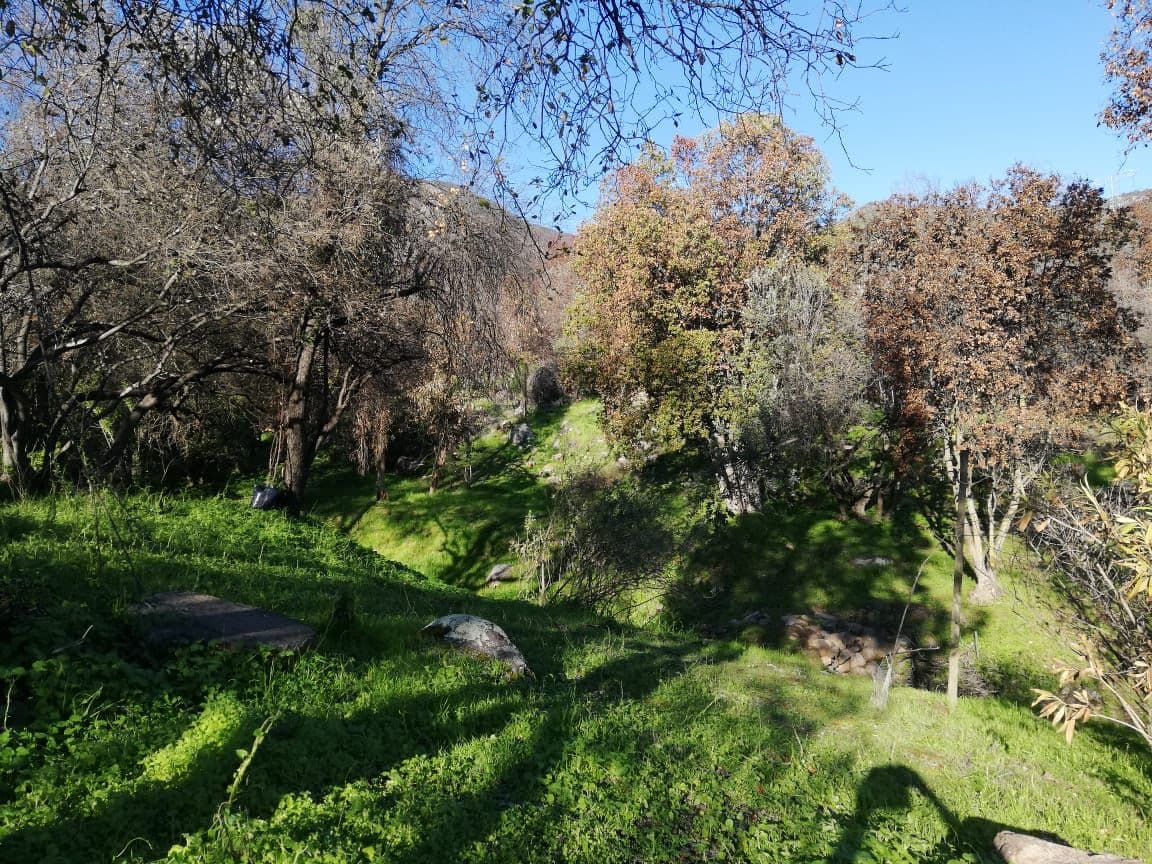 Paine, Región Metropolitana de Santiago, Chile