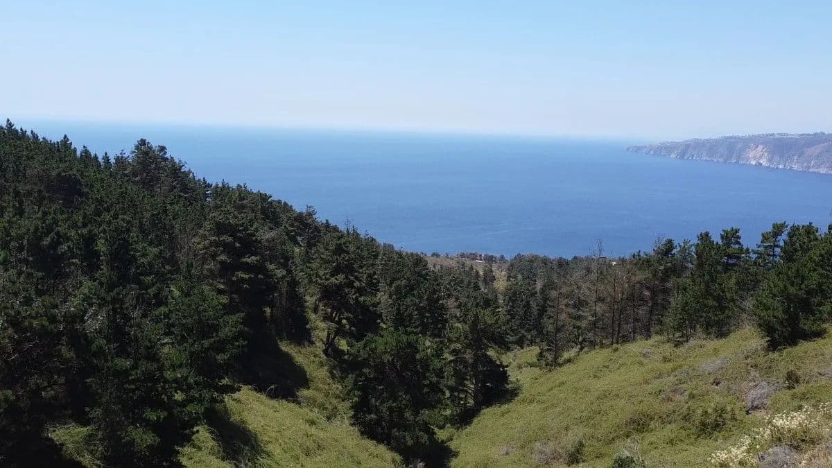 Camino Al Faro, Valparaíso, Valparaíso 2340000, Chile