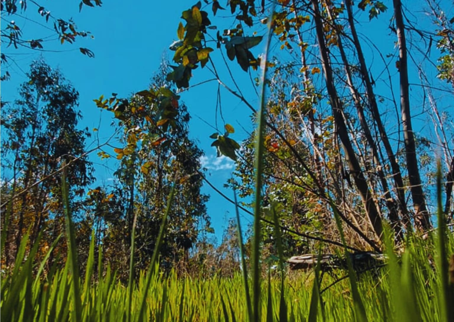 Chillán, Región de Ñuble, Chile