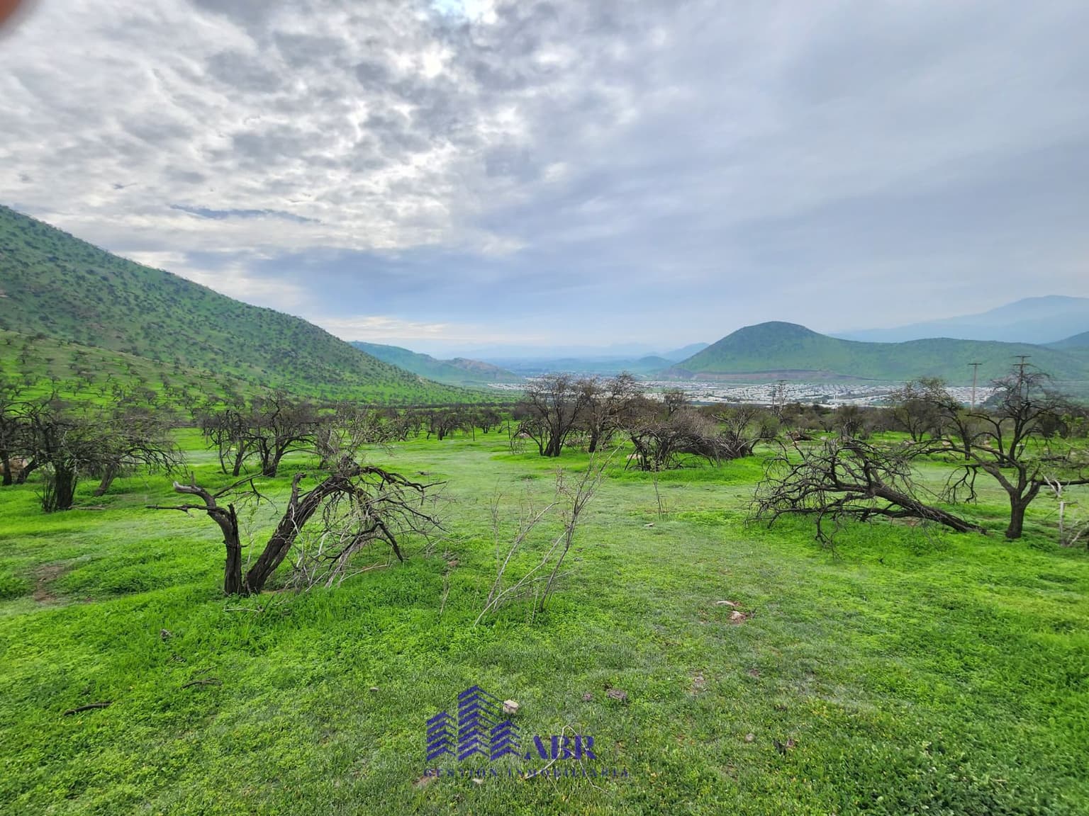 Avenida Chamisero, Colina, Región Metropolitana de Santiago 9340000, Chile