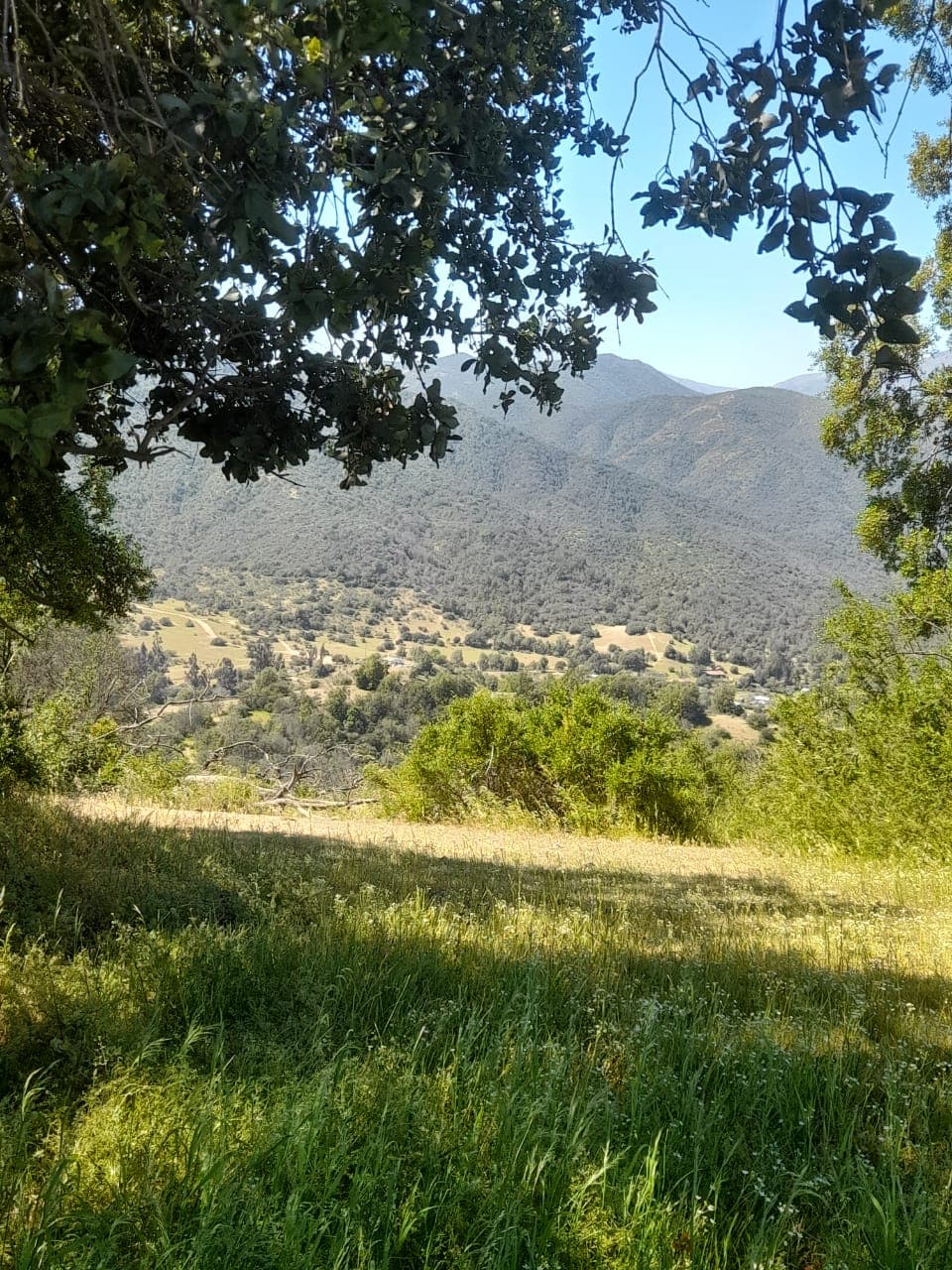 Camino Colliguay, Quilpué, Valparaíso 2430000, Chile